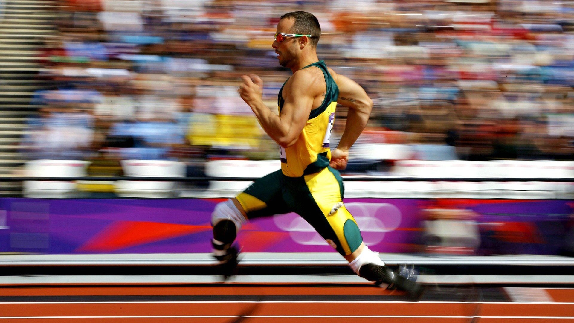 世界杯“黄牛票”整治初见成效 多场比赛空座率明显下降